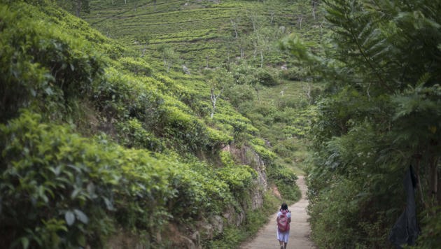 Why This Sri Lankan Teacher & Student Love Our Literacy Program