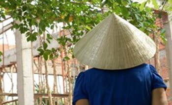 News Copy with Callout