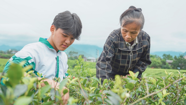 The fragrant scent of tea leaves beside an open book