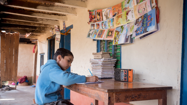 Pratik's home library