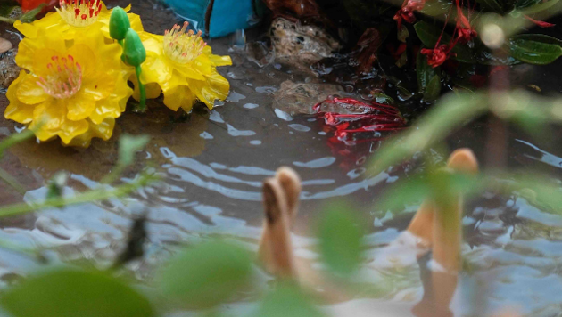 One year in: Insights from Room to Read Climate Justice Clubs