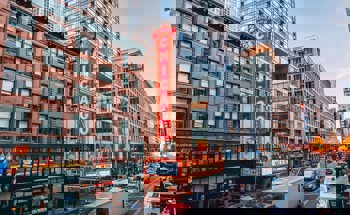 One of the Best Volunteer Opportunities in Chicago