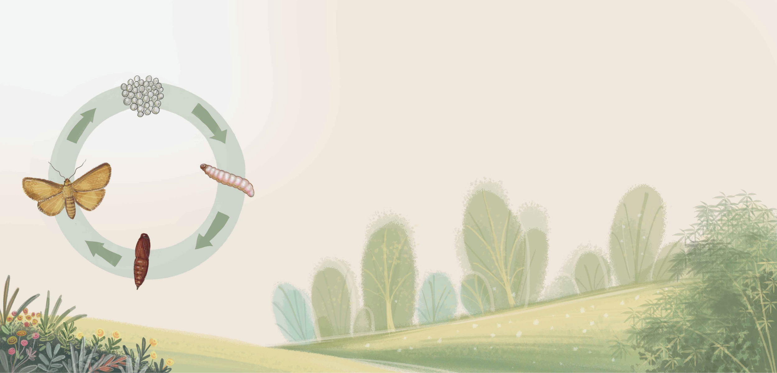 Nonfiction children's book in Laos